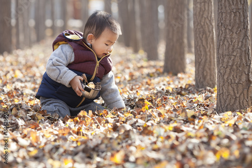 Chinese baby boy playing in ginkgo woods