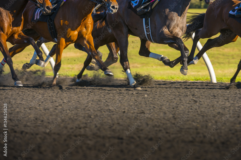 Fototapeta premium Wyścig konny kolorowy, jasny, nasłoneczniony, wolny czas naświetlania, efekt ruchu szybko poruszających się koni pełnej krwi