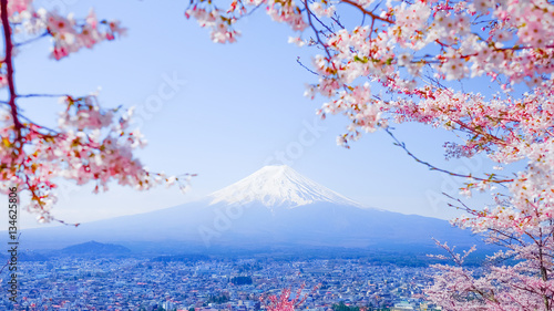 Mt. Fuji with Japanese Cherry Blossoms at  Japan photo