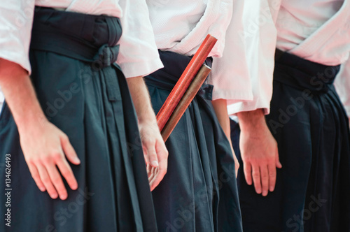 Tableau sur toile Aikido fighters