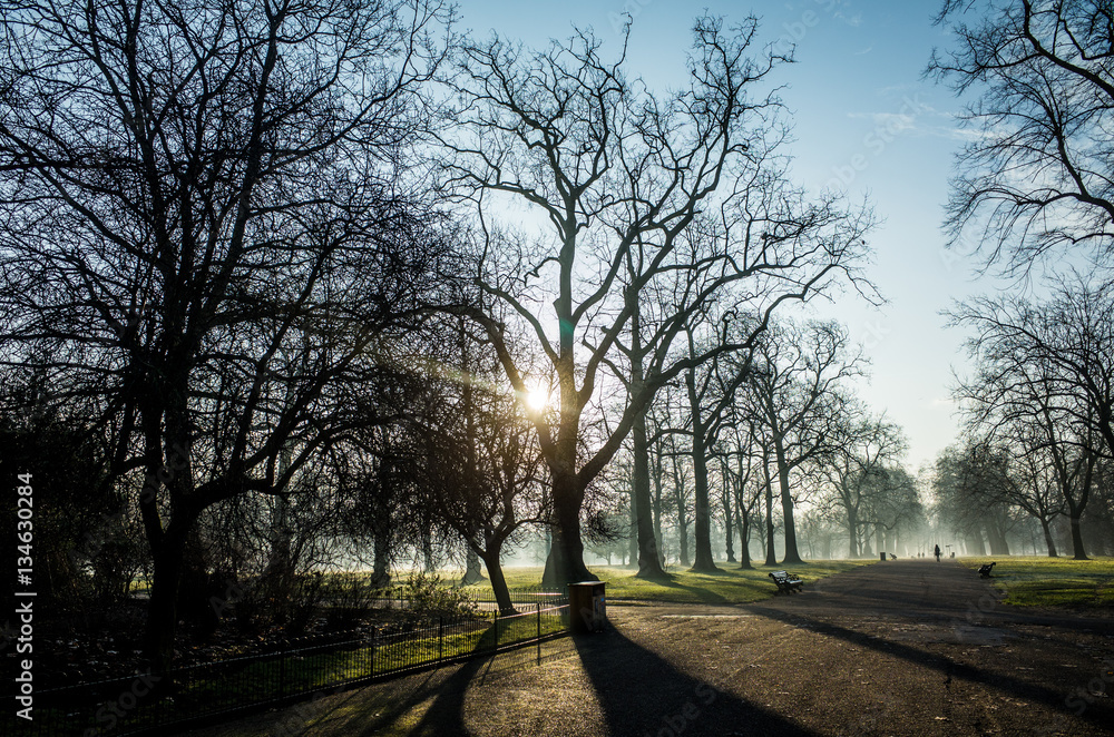 Kensington Gardens Morning Fog, London, Park, Fog, People Walking, Mist, Morning