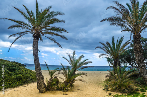 The palm forest of Vai is one of the most popular sights in Crete.It attracts thousands of visitors every year.They come not only for its wonderful palm forest,but also for the amazing sandy beach © GIORGOS
