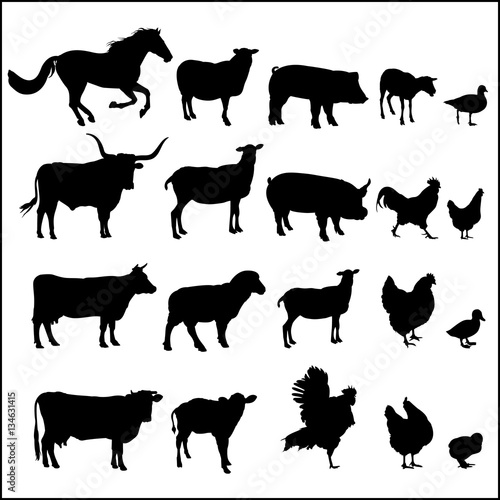 Set of animal silhouettes