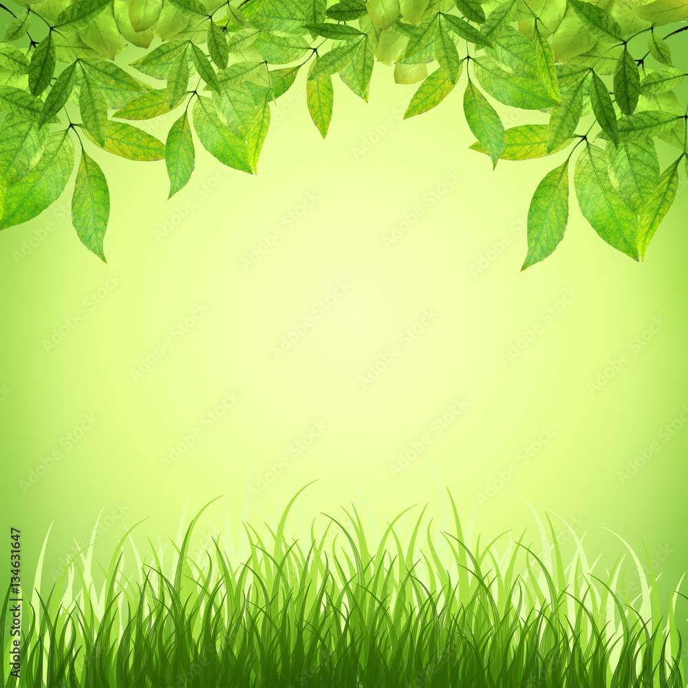 bright natural background with grass and leaves. Spring. Summer.