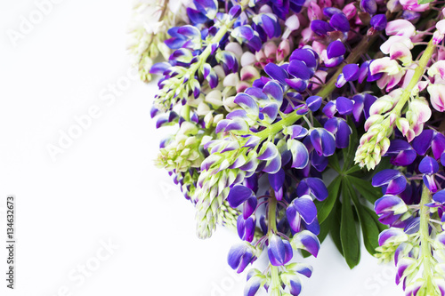 Lupin bouquet of flowers