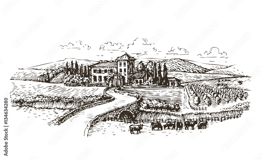Farm, agriculture or vineyards sketch. Vintage landscape vector illustration