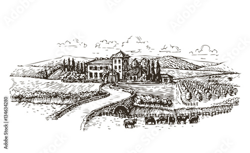 Farm, agriculture or vineyards sketch. Vintage landscape vector illustration