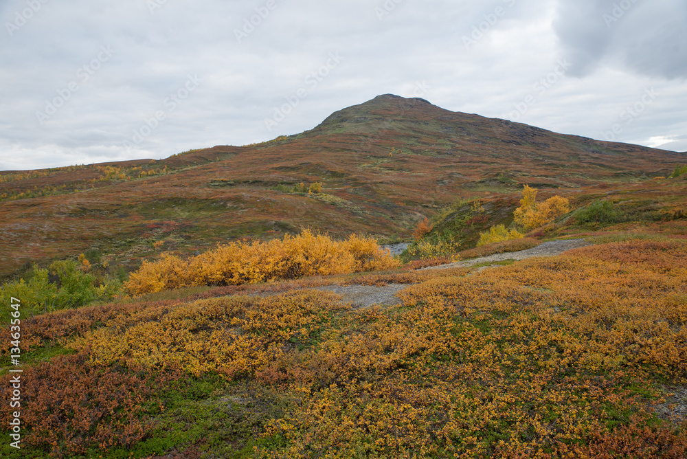 Mountain landscape in northern Sweden. Abisko national park