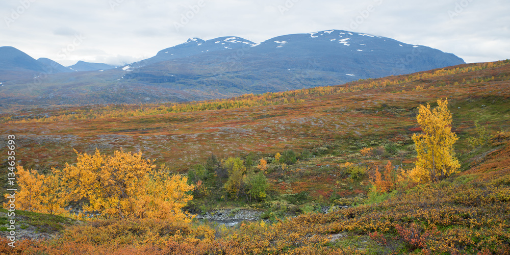 Mountain landscape in northern Sweden. Abisko national park