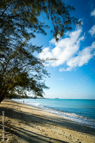Fototapeta Naklejka Na Ścianę i Meble -  a tropical golden beach in the caribbean with clear waters and palm trees