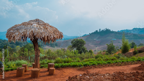 House cottage on a laterite red soil nature scenery background. 