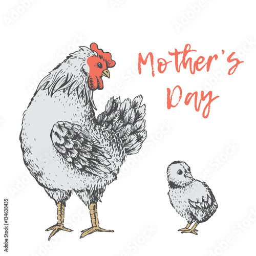 Vintage design with hen. Mothers days
