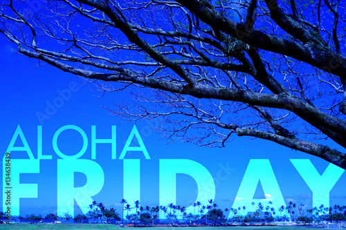 Aloha Friday in Hawaii © BRITTINI