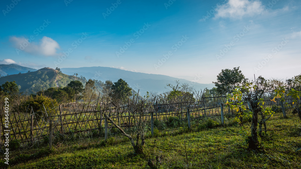 Naklejka premium Scenic green mountain view and vivid blue sky background.