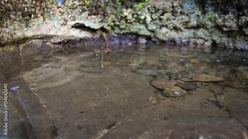 Water Dropping into Small Natural Pool