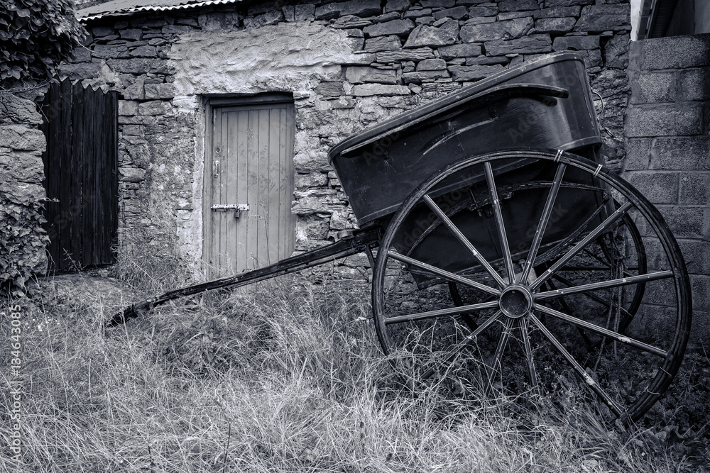 Horse drawn buggy