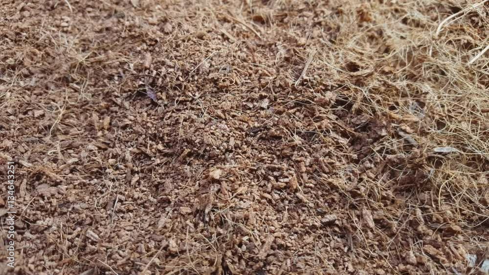 Dry coconut coir rotate on the table. Macro shot. Dry coconut coir rotate on the table. Macro shot.
