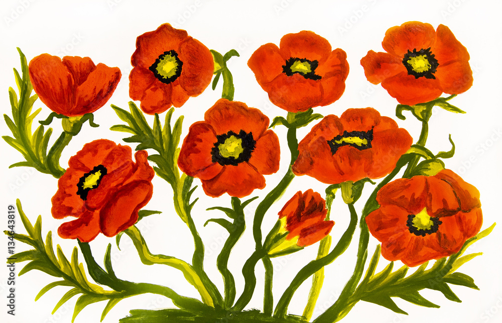 Obraz premium Red poppies