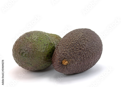 Avocado, Persea gratissima