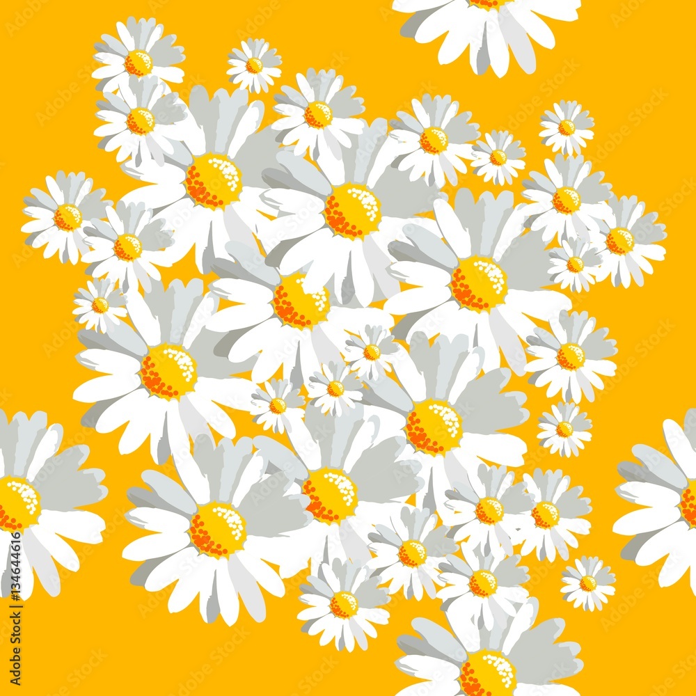 seamless pattern with chamomiles