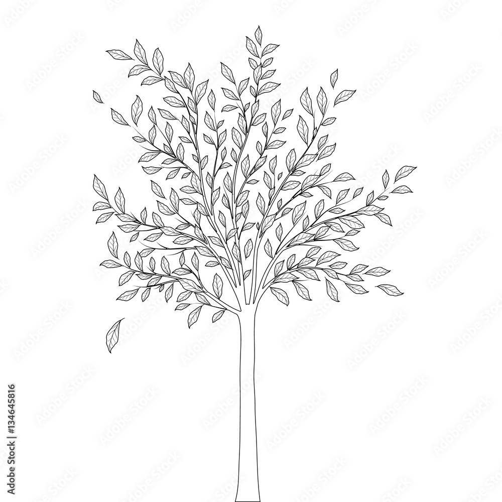 Tree with leaves outline on white background vector Tree with leaves outline on white background vector