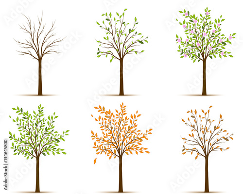 Seasons of tree vector