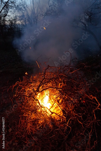 Obraz na płótnie Nocne ognisko w salonie