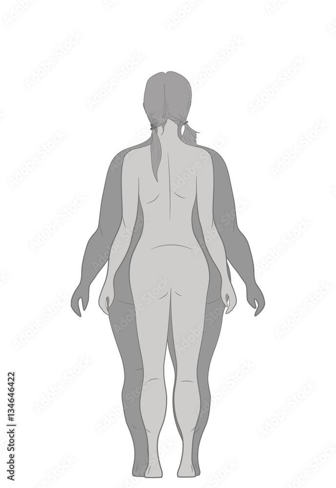 silhouette fat and slim woman, before and after weight loss. vector illustration. silhouette fat and slim woman, before and after weight loss. vector illustration.