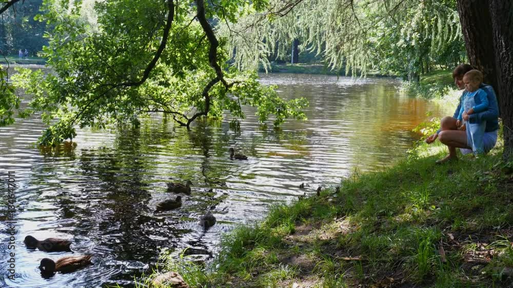 Mother and her baby boy are feeding ducks in a park lake Mother and her baby boy are feeding ducks in a park lake