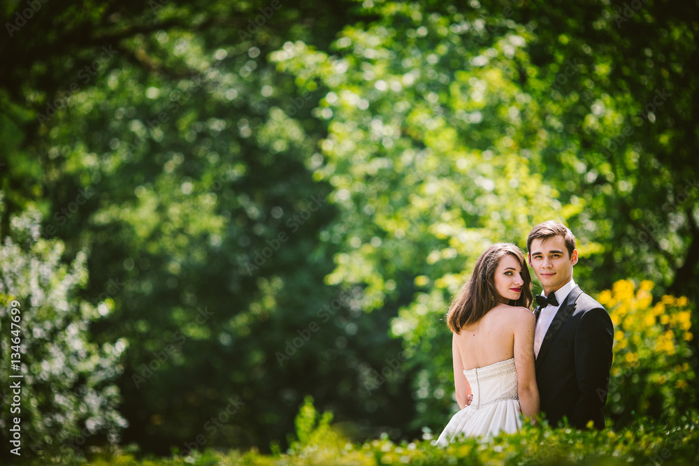 Look over bright green bushes at newlyweds standing on the backy Look over bright green bushes at newlyweds standing on the backy