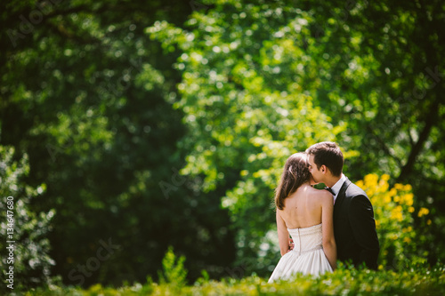 Look over green bushes at groom kissing bride's head tender whil