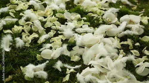 Wedding petals on the grass