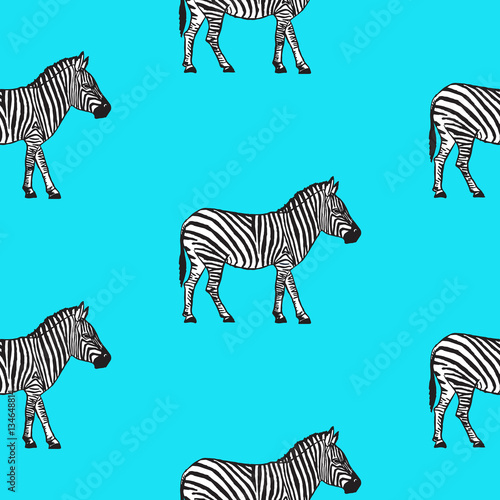 Seamless pattern with hand drawn zebra vector illustration. Blue background.