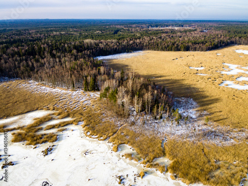 aerial view of frozen forest lake in winter