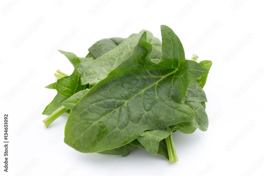 Fresh leaves of spinach on the white background. Fresh leaves of spinach on the white background.