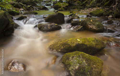 Pisgah National Forest