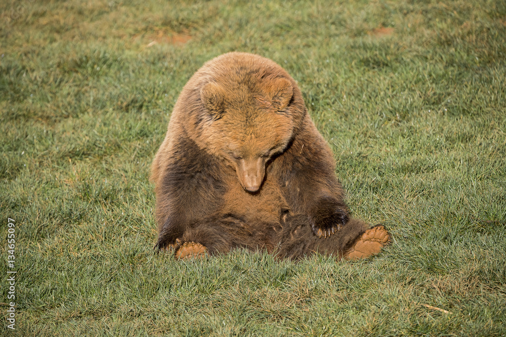 Fototapeta premium Relax