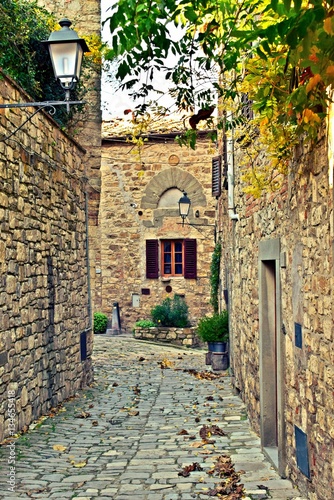 Fototapeta Naklejka Na Ścianę i Meble -  Vecchia strada in pietra nel borgo medievale di Montefioralle nel comune di Greve in Chianti in Toscana, Firenze Italia