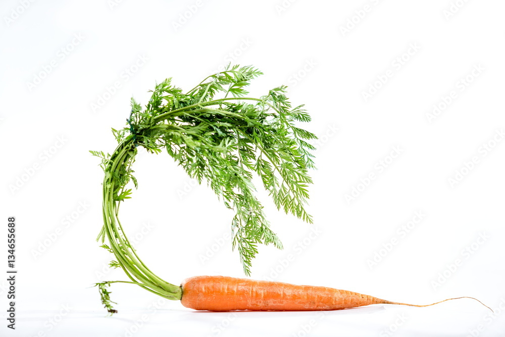 young fresh juicy carrot - obrazy, fototapety, plakaty 