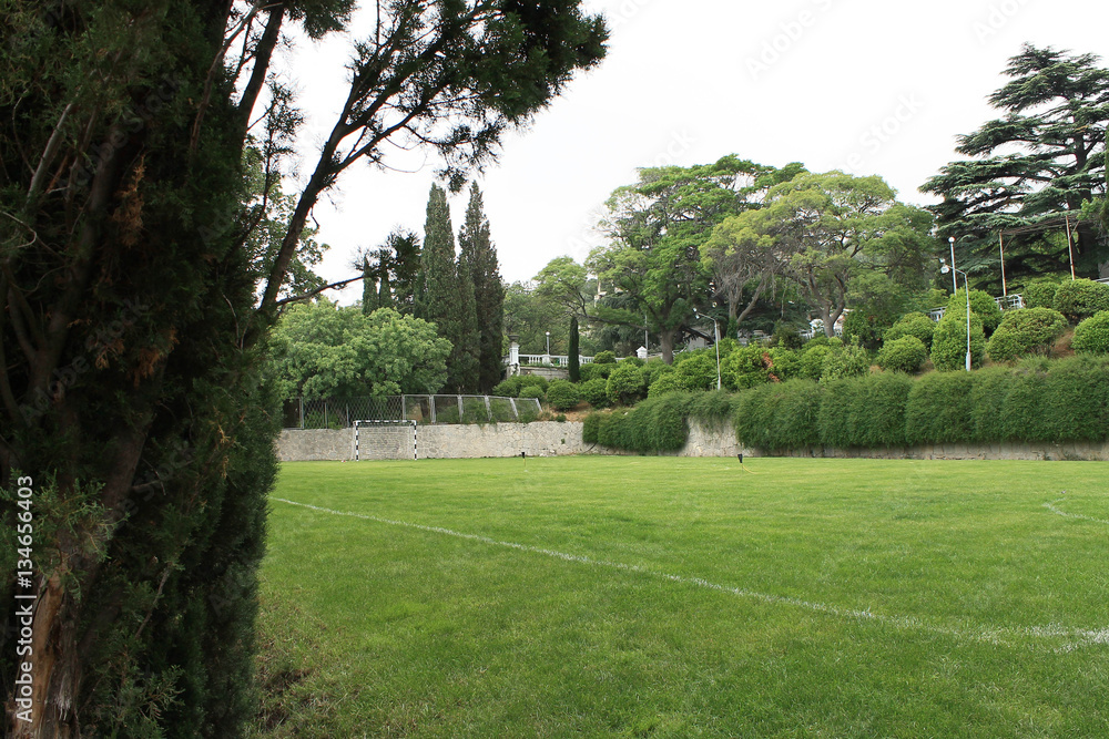 Playground for football among the cypresses