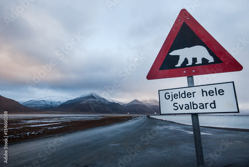 Be aware of polar bears