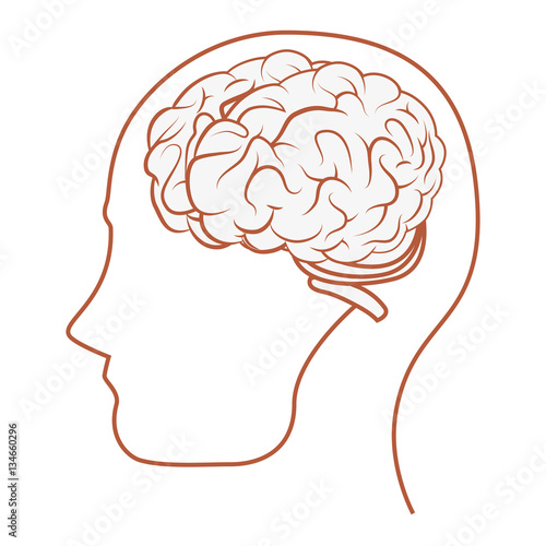 brain storming isolated icon vector illustration design