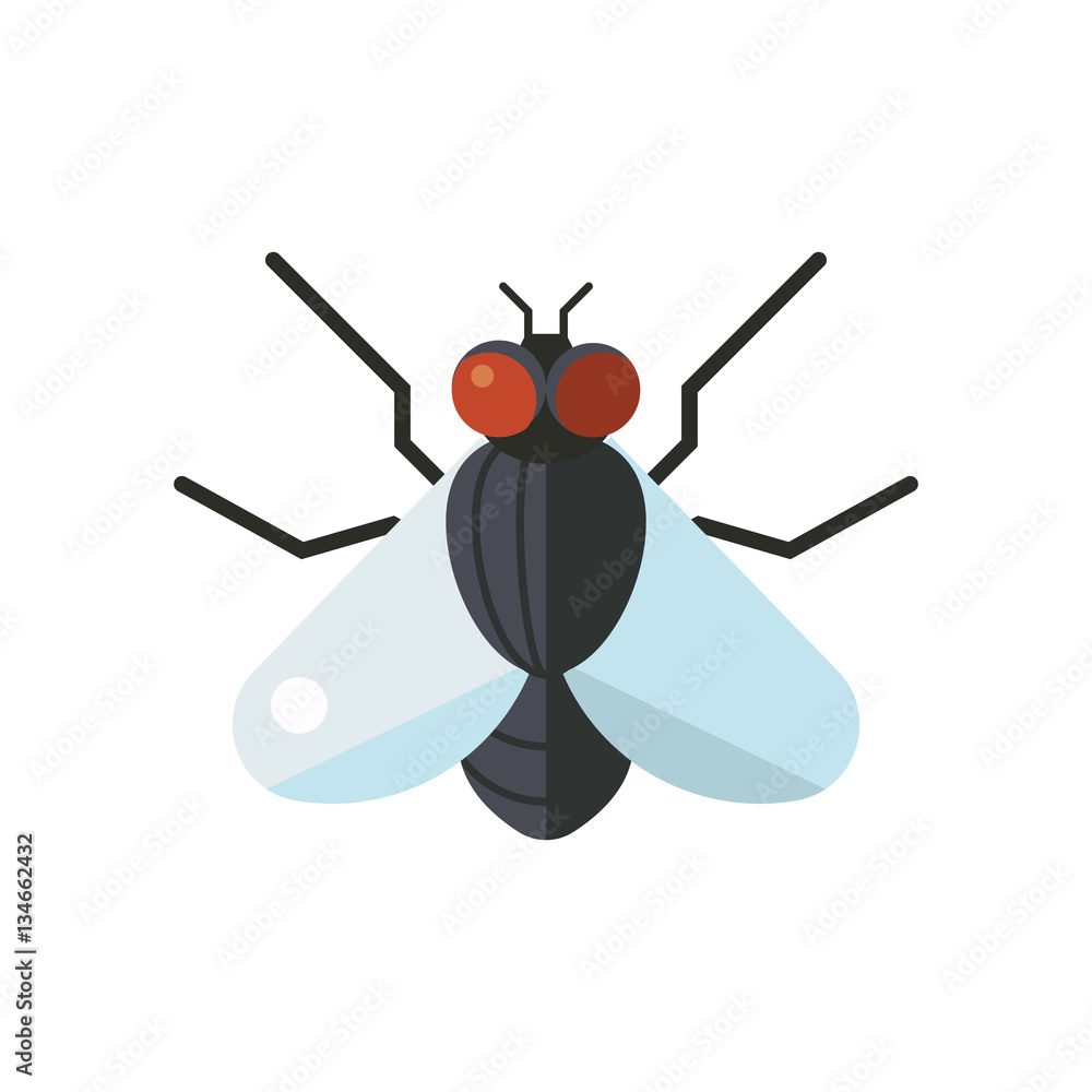 Insect fly icon flat isolated on white background Insect fly icon flat isolated on white background