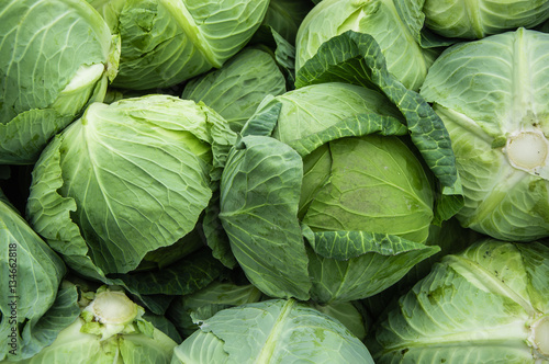 Fotografia The cabbage closeup