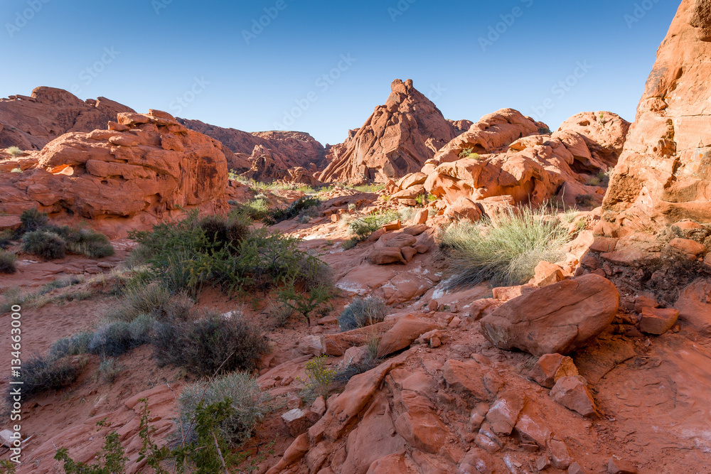 Mouse's Tank Trail, Valley of Fire State Park, Nevada, USA
