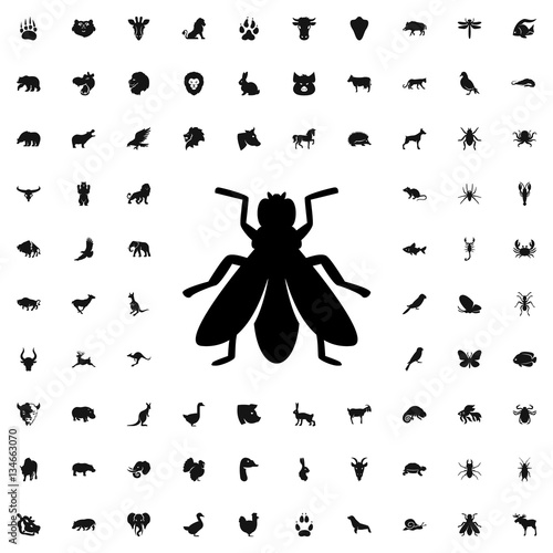fly icon illustration