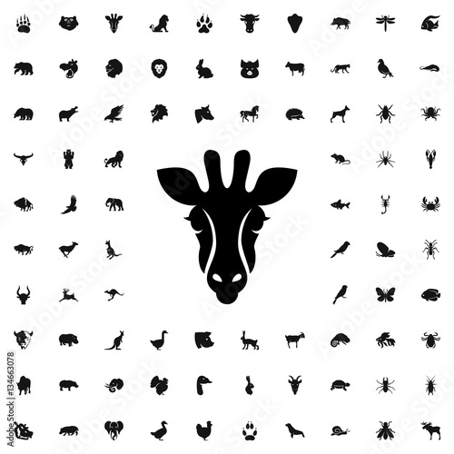 giraffe icon illustration