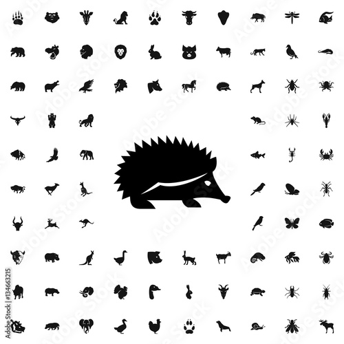 hedgehog icon illustration