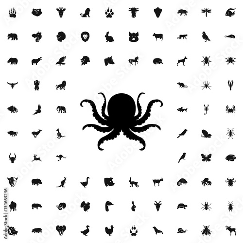 octopus icon illustration