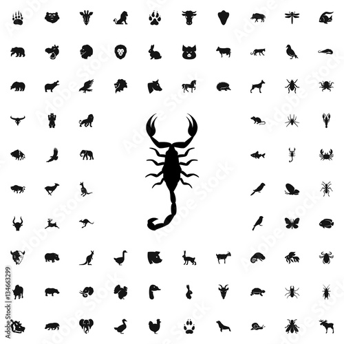 scorpion icon illustration